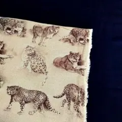 Item thumbnail for item 5422965f-50a3-4e62-865d-f238cb06baf5