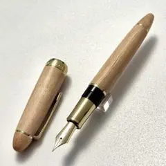 SAILOR セーラー万年筆 プロギア 黒 漆 螺鈿 桜 21K B 太字 - メルカリ