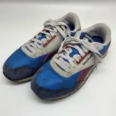REEBOK リーボック スニーカー ローカット　ヴィンテージ　25cm