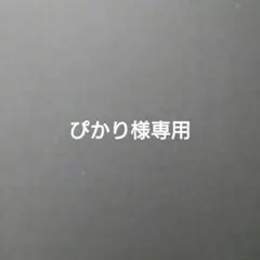 ぴかり様専用