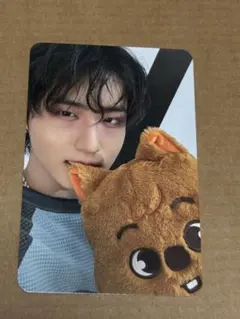 ハンジソン　ポップアップ