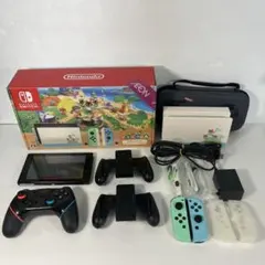 【携帯ケース付】Nintendo Switch あつまれ どうぶつの森セット