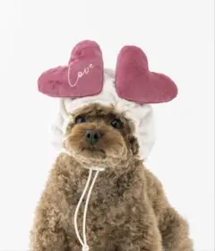 Item thumbnail for item 3717283f-5495-4700-87fd-9247d21fee8f