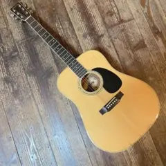 tokai hummingbird custom w-200 - メルカリ