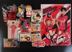 ハイキュー 音駒 黒尾 孤爪 ぬいペンフレンズ ハイキュー 音駒 黒尾 孤爪 ぬいペンフレンズ - メルカリ