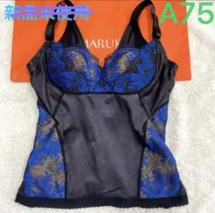 Item thumbnail for item 217cded2-9a51-4d26-b3af-05b7dfd35221