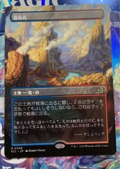 マダラの鉤爪門 1枚 - メルカリ