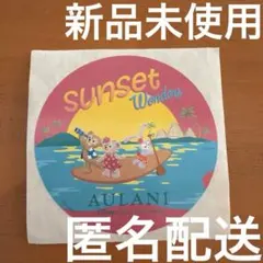 AULANI ダッフィーフレンズ　ステッカーDisney ハワイ　激レア　限定
