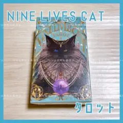 Item thumbnail for item 61d940d9-0d9f-474b-990c-da1b1325d417