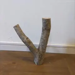 Item thumbnail for item 0c141973-5996-4c67-a0b2-aa60218487a8