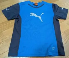 PUMA 青 VネックTシャツとロゴTシャツ３着セット