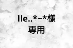 lle..*~*様専用ページ