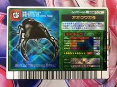 ムシキング　オオクワガタ