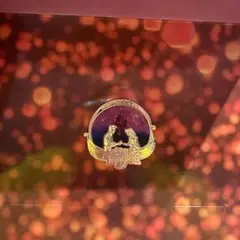 ディズニーカードクラブ2025ラプンツェルピンバッジ