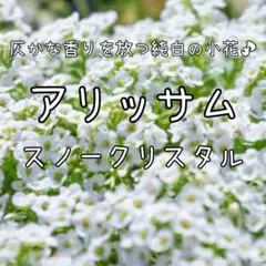 ジャン様 リクエスト 3点 まとめ商品
