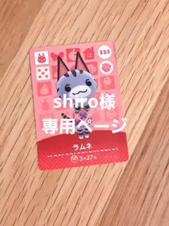 専用