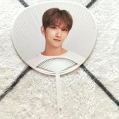 JOSHUA Ode to You ミニうちわseventeen ジョシュア