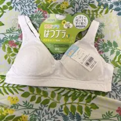 Item thumbnail for item 6b6579a6-7d89-4486-a76d-22a6fbc78f63