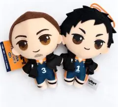 ハイキュー!! 澤村大地 東峰旭 ぷちぬいぐるみ マスコット 2体セット 新品