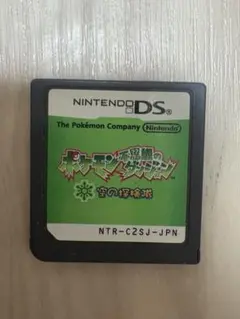 ds ポケモン不思議のダンジョン空の探検隊　カセット