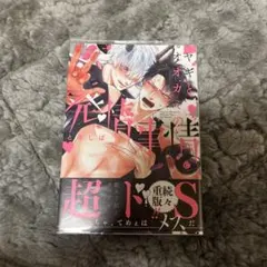 Item thumbnail for item a040414c-e693-4131-9404-f0170b12adc0