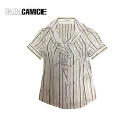 Item thumbnail for item 32206d0b-e0e1-4314-abc5-064fbe94b510