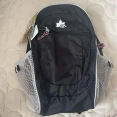 Item thumbnail for item 4826748d-38e7-4aef-915b-e6e6c07818d3