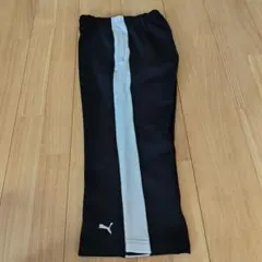 PUMA　ジャージ　レディース　クロプトパンツ　Mサイズ