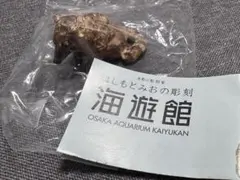 海遊館　はしもとみおの彫刻　ガチャ　アカハナグマのサムネイル