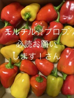 チルチル☆プロフ必読お願いします！さん専用・朝どれミニパプリカ＊本日18:20迄