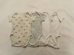 Item thumbnail for item 6d0f7b41-f8c4-4fae-b3c2-9602d47de2af