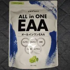 アンビーク オールインワンEAA マスカット風味