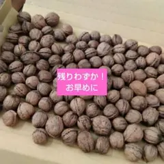 2026年最新】鬼胡桃の人気アイテム - メルカリ