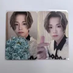 treasure アサヒ nightgarden トレカ