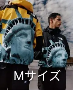 Supreme / The North Face Statue