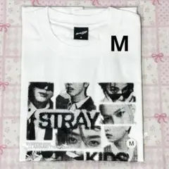 StrayKids スキズ RUN IT フォトTシャツ Mサイズ