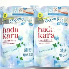 hadakara ハダカラ 泡で出てくるボディソープ ひんやりタイプ 2個 詰替
