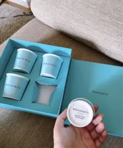 Item thumbnail for item 95e4b27d-d6f2-4b63-897a-9f0ee5a6578f