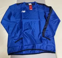 Item thumbnail for item ef1bb032-405a-40f5-92ed-bb7b62661c73