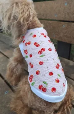 Item thumbnail for item 22367bf1-2f8c-427a-8b8b-7f9aa78120c7