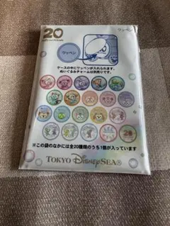 ダッフィー＆フレンズ ワッペン（粘着シール付）　リーナベル3種