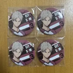 瀬見英太 缶バッジセット