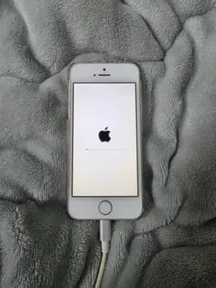 iPhone 5s 本体 シルバー