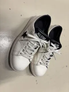 Item thumbnail for item 522d84f9-fcf5-45fe-99be-127cc2e50f16