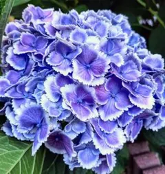 itk.様 リクエスト 2点 まとめ商品