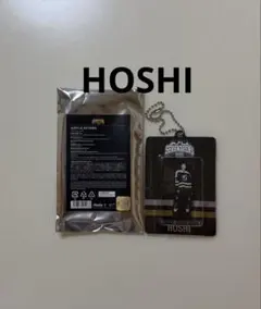 SEVENTEEN 　セブチ　ホシ　アクリルキーリング　HOME