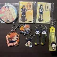 ハイキュー 赤葦京治 日向翔陽 縁下力 キーホルダー 缶バッジ まとめ売り