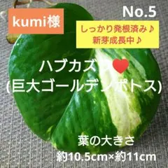 kumi様 リクエスト 2点 まとめ商品