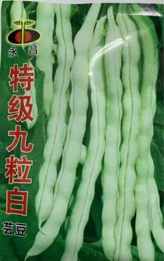 キラ⭐️様 リクエスト 2点 まとめ商品