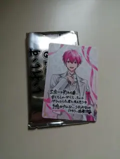 いれいす　いれいすチップス2　ないこ